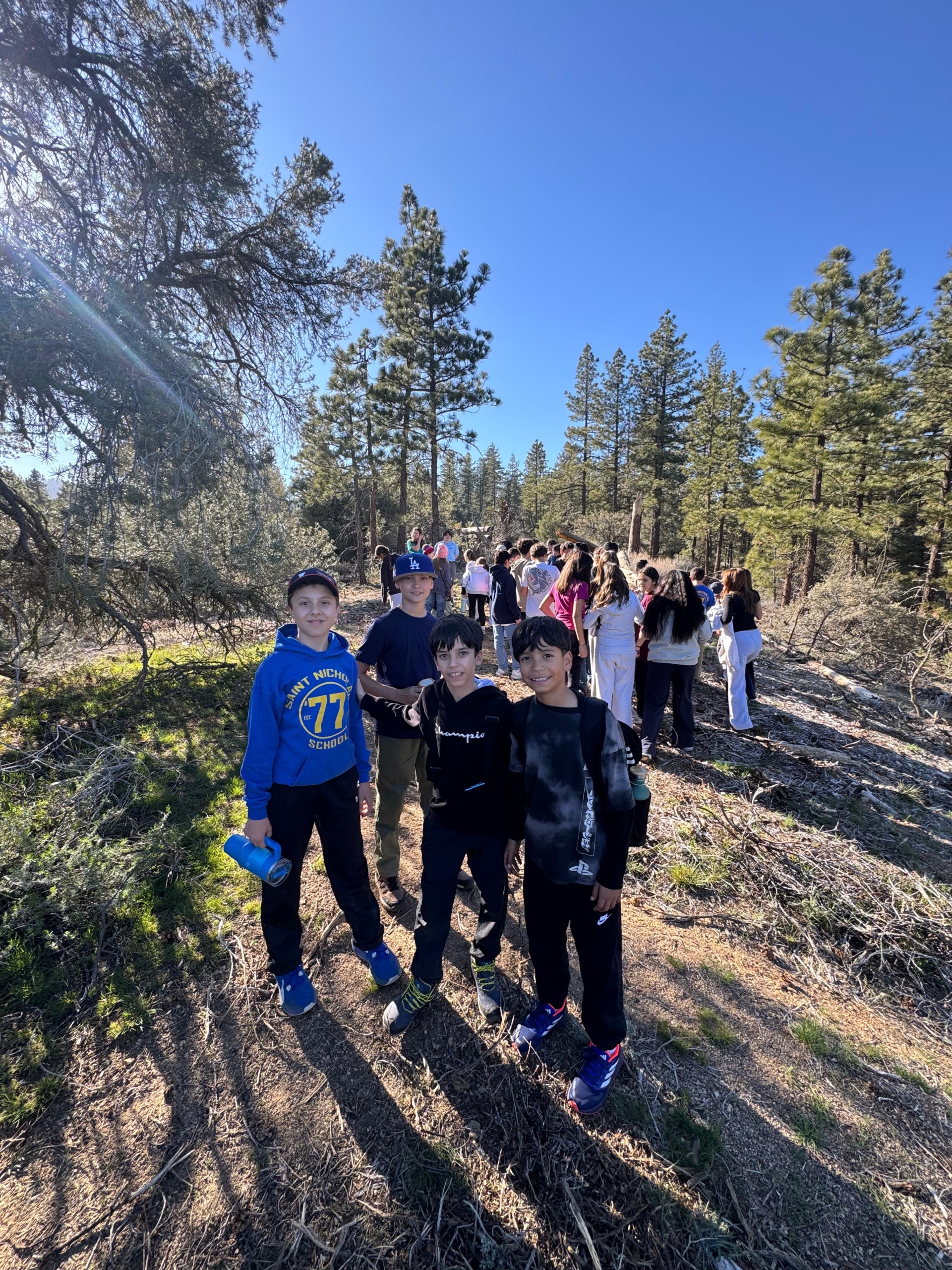 El Camino Pines